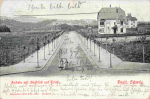 Jocketa Vogtland Ausblick auf Trieb o 1903