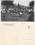 Johannstadt Dresden Girls' Educational Institution * around 1930