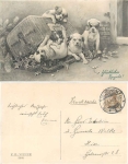 Young dogs artist card V. K. Vienne No. 5060 o 1.1.1910