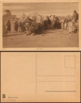 Camel caravan in the oasis (Arabia) * around 1920