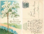 Kirschbaum blühend mit Vergißmeinnicht Prägekarte Erika 2969 o 20.10.1907