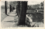 01936 Königsbrück Flüsterallee o 1938