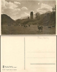 Kuhherde Heimkehr von der Weide, * ca. 1930