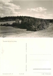 01737 Kurort Hartha Tharander Wald *1966 Hanich1425