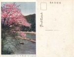 Kyoto Chidorigafuchi Kirchbluete * ca. 1910