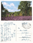 Luneburg Heath railway postmark Bremen Wilhelmshaven train 941 November 18, 1939