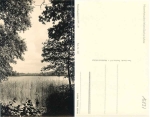 16837 Luhme Wumm See * 1964
