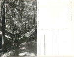 15377 Markiche Schweiz Silberkehle *1959