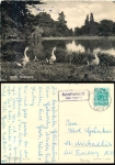 99510 Mattstedt via Apolda country postmark on postcard o 8. 10.1960
