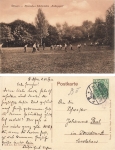 Meissen Afranisches Schuelerleben Hockeyspiel o 1913