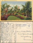 Miami Florida Bayfront Park o 2.4.1939