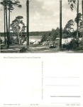 17252 Mirow campground Schweinsbrucker Tannen * 1962 Hanich0770