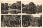 Mittweida Sachsen Mehrbildkarte *um 1950