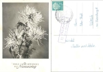 54558 Mueckeln about Wittlich 22 country postmark on postcard o 26.6.1958