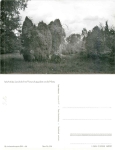 17248 Müritz  Jäger  Wacholderlandschaft im Naturschutzgebiet *1962 Hanich0516