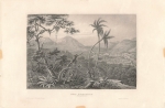 New Freiburg Brazil original steel engraving around 1860