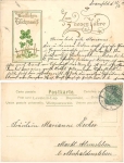 Neujahr vierblättrige Kleeblätter Goldschnittkarte o 1.1.1902