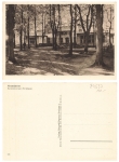 24537 Neumuenster Parkrestaurant um 1920