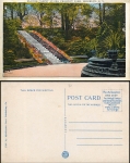 USA New York City  Brooklyn Flower Carpet Stairs Prospect Park *1940
