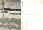 09623 Oberholzhau Erzgebirge *1962 Hanich1490