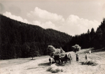 01744 Oberpöbel Dippoldiswalde Bauern bei der Heuernte Pferdegespann * um 1960 ​​​​​​​Hanich Druckvorlage