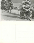 09484 Oberwiesenthal Leipzig ski hut * approx. 1940