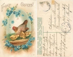 Ostern Henne mit Küken, Prägekarte o 17.4.1906