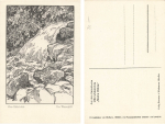 Otto Ubbelohde The Waterfall Artist Card My Forests * ca.1920