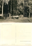 01824 Papstdorf pioneer camp 
