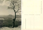01824 Papststein zum Lilienstein Elbsandsteingebirge AK1963 Hanich1494