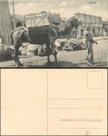 China Beijing boy with camel * around 1910