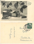 Pentecost May beetle with matchbox o 30.5.1941