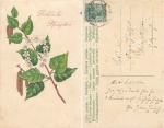 Pentecost flowers embossed card o 31.5.1912