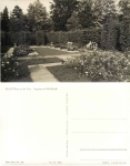 Pillnitz Dresden maze in the palace park *1958 Hanich1093