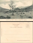 Population Lake Traful Territory Nequen Argentinien *ca. 1900