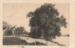 01445 Loessnitz Radebeul An der Elbe o 1933