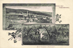 08262 Rautenkranz Illerts Restaurant Waldfrieden o 26.8.1910