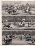 Riding demonstrations steel engraving by Henry Winkles after G. Heck around 1850