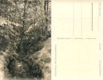 16818 Binenbach-Schlucht *1960