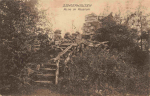 Sangerhausen Ruine im Rosarium o 1917