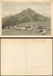Schafe auf der Weide * ca. 1930