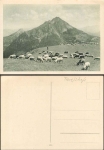 Sheep in the pasture, * approx. 1930