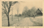 01773 Schellerhau Erzgebirge Dorfstrasse im Winter o 1927