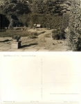 Pillnitz Dresden maze in the palace park *1958 Hanich1092