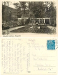 Schonebeck Salzelmen rose Garden  or 10/03/1956