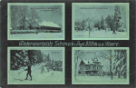 Schöneck Vogtland Mehrbildkarte mit Villa Waldesruh o 1915