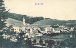 78141 Schoenwald *ca.1915