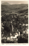 01855 Sebnitz in Sachsen * um 1930 Hahn-Foto11846