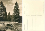 01776 Seyde alte Zinnbruecke Wilde Weisseritz *1961 Hanich1363