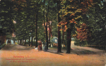 03130 Spremberg Niederlausitz Gerogenbergschlucht * um 1920